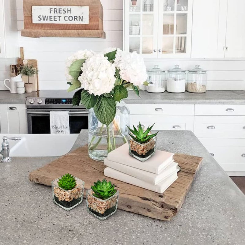 Briful Set of 3 Succulents Plants Artificial in Glass Pots Small Fake Succulents Plants Faux Plants Indoor for Home Office Table Desk Shelf Room Decor - Image 5